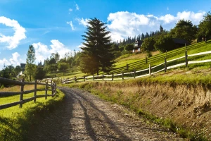 Dom nocny zwiastun – Co musisz wiedzieć o nadchodzącej premierze